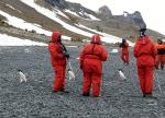 Image: Brown Bluff - Antarctic Peninsula and the Shetland Islands