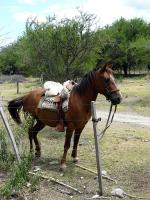 Image: Estancia La Constancia - Córdoba, Argentina