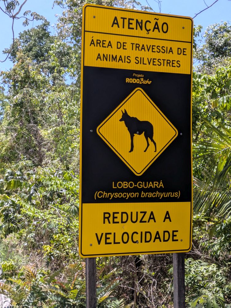 BR2510EP321_chapada-dos-veadeiros-lobo-guara.jpg [&copy; Last Frontiers Ltd]