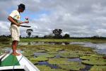 Image: Flotel Piranha - Amazon lodges and cruises
