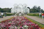 Image: Curitiba - Curitiba, Morretes and the Atlantic rainforest