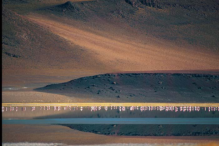 CH1001SHD01_Talar.jpg [&copy; Last Frontiers Ltd]