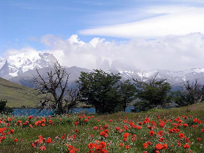 CH1104EM209_laguna_azul.jpg [&copy; Last Frontiers Ltd]