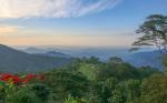 Image: Casa Oropendola - Santa Marta and Tayrona