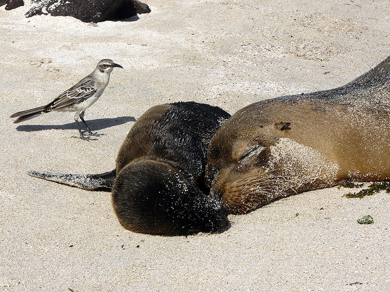 GP0917NL0450_espanola.jpg [&copy; Last Frontiers Ltd]