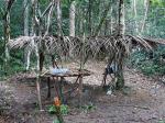 Image: Maipaima - The Rupununi savannas