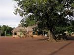 Image: Karanambu - The Rupununi savannas