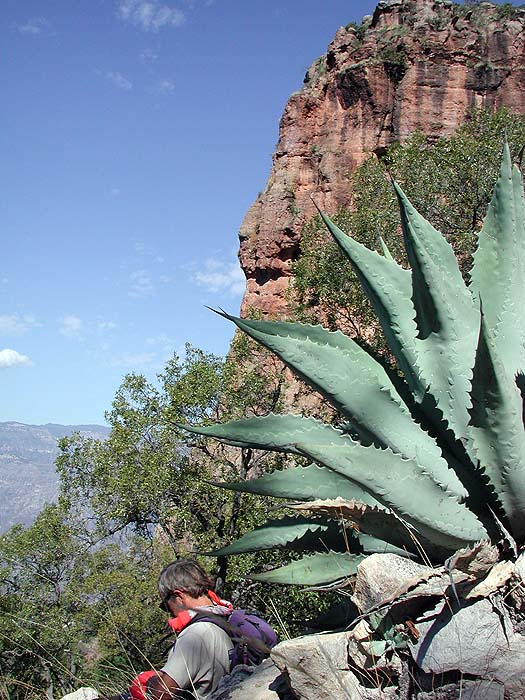 MX0304EM187_copper_canyon_hike.jpg [&copy; Last Frontiers Ltd]