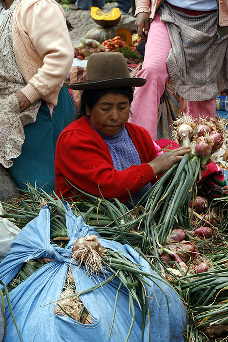 PE0508EM0455_pisac-market.jpg [&copy; Last Frontiers Ltd]