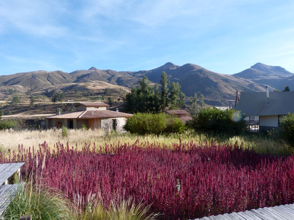 PE2506PC054_puqio-gardens.jpg [&copy; Last Frontiers Ltd]