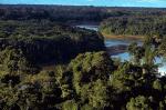 Image: Tambopata - Tambopata and Manu